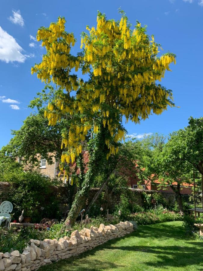 Clarke'S Farm Bed and Breakfast Heighington  Εξωτερικό φωτογραφία